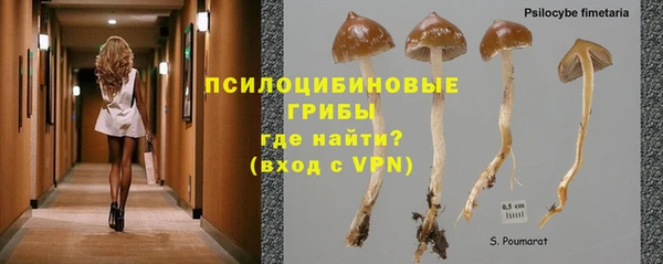 не бодяженный Абаза