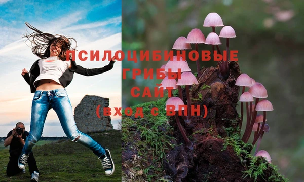 эйфоретик Алексин